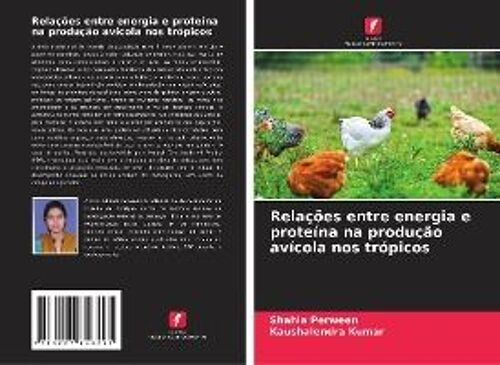 Relações Entre Energia E Proteína Na Produção Avícola Nos Trópicos