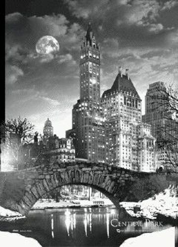 New York - Central Park - Affiche / Poster / Effet 3 Dimensions Envoi En Tube