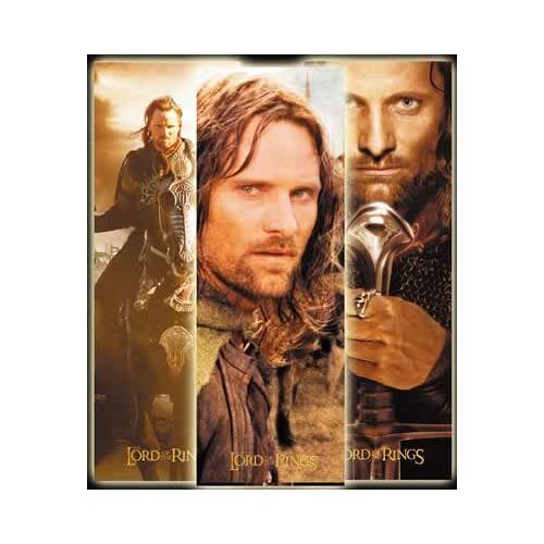 Lord Of The Rings - Lenticular 3d Poster - Affiche / Poster / Effet 3 Dimensions Envoi En Tube