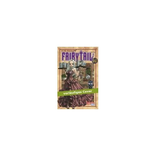 Fairy Tail 14