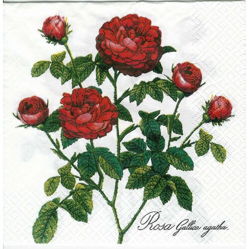 Serviette_Papier_Roses_Rouges
