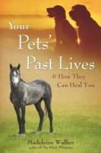 Your Pets Past Lives