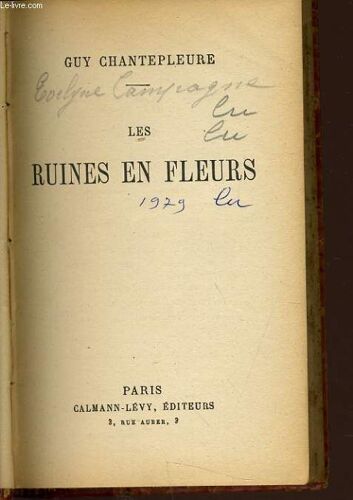 Les Ruines En Fleurs