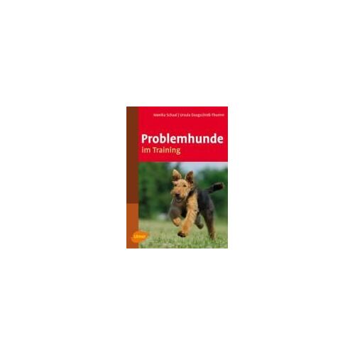 Problemhunde Im Training