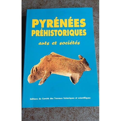 Pyrénées Préhistoriques - Arts Et Sociétés, Actes Du 118e Congrès National Des Sociétés Historiques Et Scientifiques, - Commission De Pré- Et Protohistoire, Pau, 25-29 Octobre 1993
