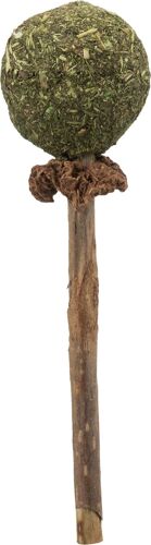 Sucette Au Matatabi - 11cm Trixie