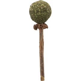 Sucette Au Matatabi - 11cm Trixie