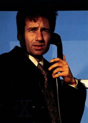 Carte X-Files Topps - Numéro 03 "Mulder Fox"