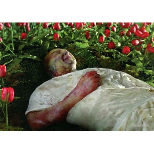 Carte X-Files Topps - Numéro 54 "Bruckman's Decomposition"