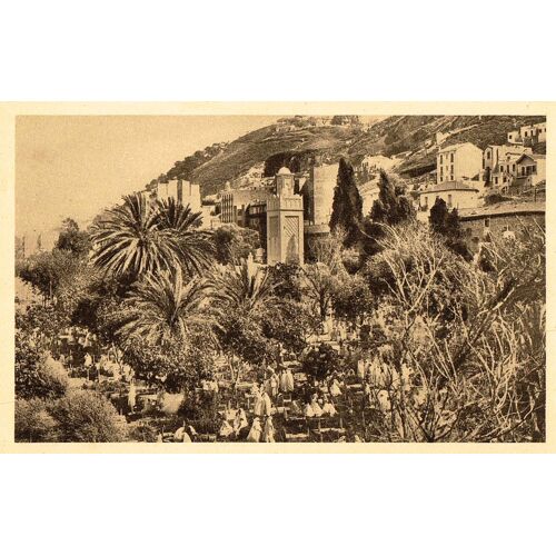 Carte Postale Ancienne, Algérie, Alger, Le Cimetière Arabe De Belcourt