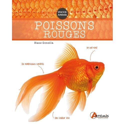 Poissons Rouges