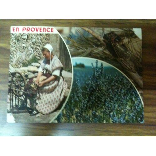 Provence Lavandes