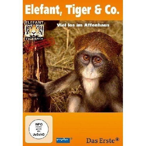 Dvd Elefant, Tiger & Co. - Teil 22 [2 Dvds] [Import Allemand] (Import) (Coffret De 2 Dvd)