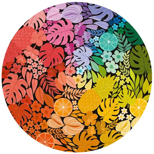 Circle Colors - Tropical - Puzzle 500 Pièces