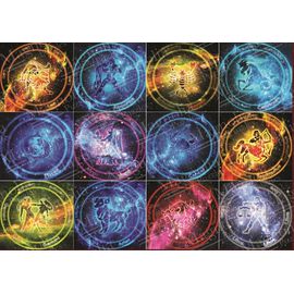 Cardinal Signs - Puzzle 1000 Pièces