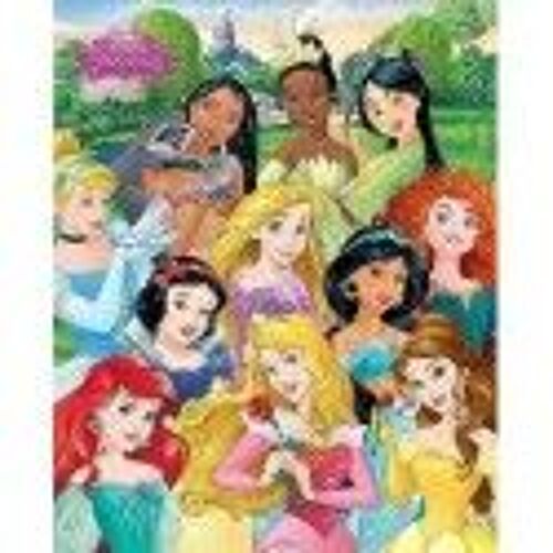 Pyramid International Disney Princess Mini Poster Plastique/Verre Multicolore 45 X 76 X 1,3 Cm