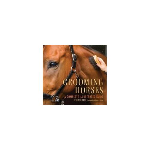 Grooming Horses