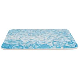 Plateau Rafraichissant Pour Petits Animaux - 28x20cm Bleu Trixie