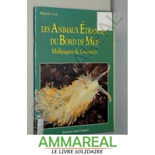 Animaux Étranges Du Bord De Mer