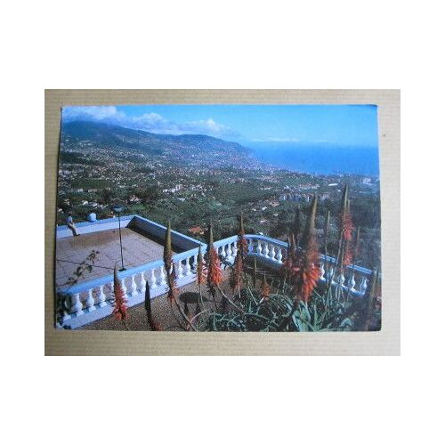Carte Postale :  Funchal , 12x17 Cm