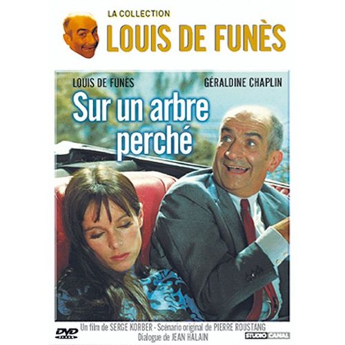 Sur Un Arbre Perché