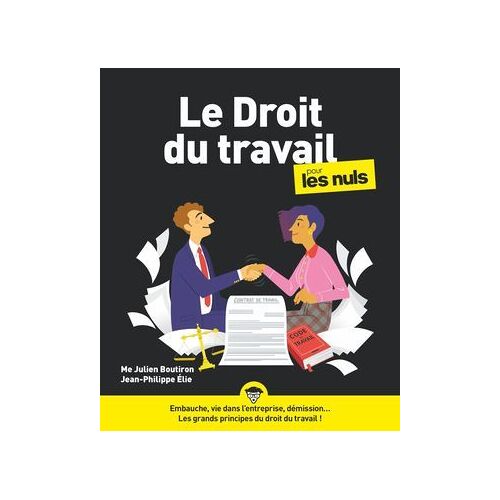 Le Droit Du Travail Pour Les Nuls, Grand Format, 6e Éd