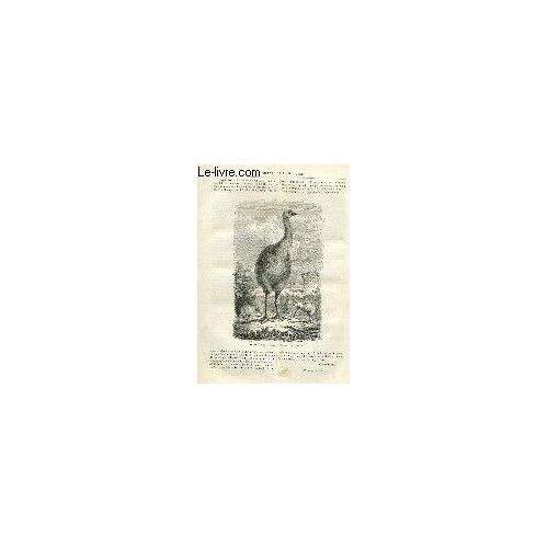 Le Journal De La Jeunesse, Tome 2, 28ème Livraison