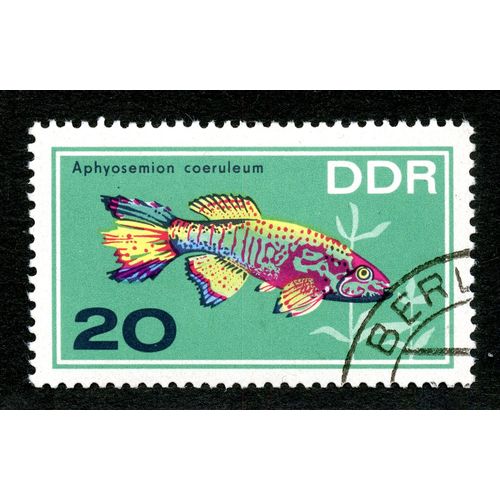 Timbre Oblitéré Ddr, Aphyosemion Coeruleum, 20