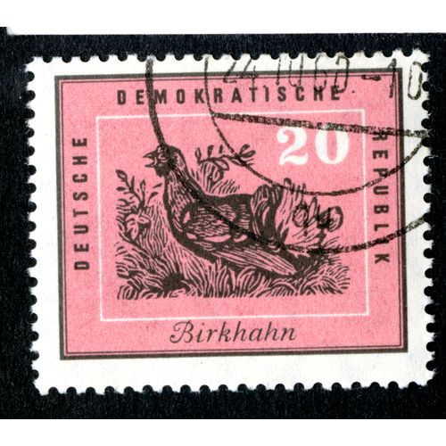Timbre Oblitéré Deutsche Demokratische Republik, Birkhahn, 20
