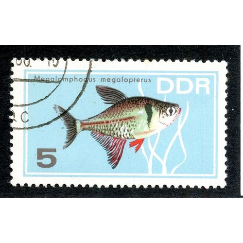 Timbre Oblitéré Ddr, Megalamphodus Megalopterus , 5