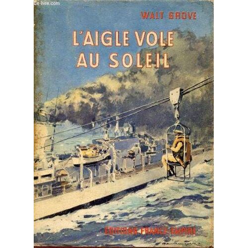 L Aigle Vole Au Soleil.