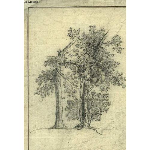 Dessin Original, Au Crayon, De 2 Arbres Isolés, Dont Un Avec Une Branche Coupée
