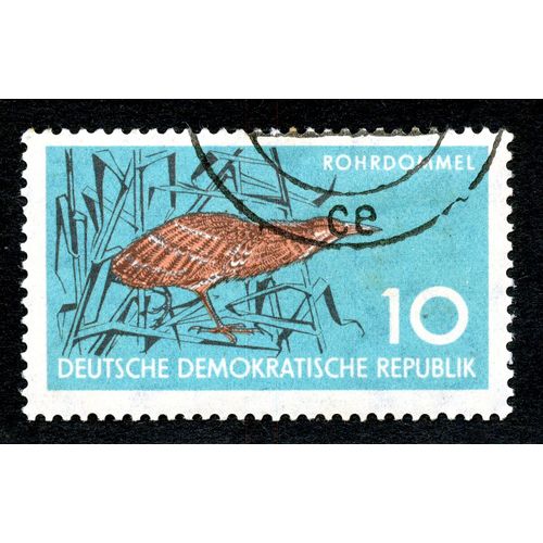 Timbre Oblitéré Deutsche Demokratische Republik, Rohrdommel, 10