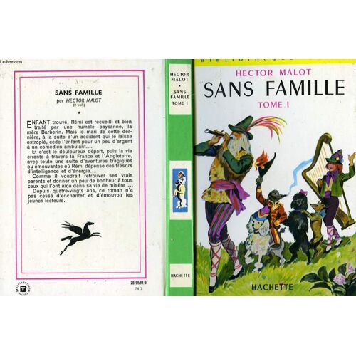Sans Famille, Tome 1