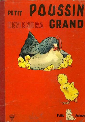 Petit Poussin Deviendra Grand