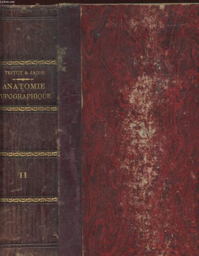 Traite D'anatomie Topographique Avec Applications Medico-Chirurgicales Tome Second : Abdomen - Bassin - Membres