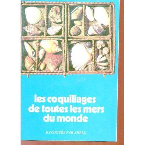 Les Coquillages De Toutes Les Mers Du Monde