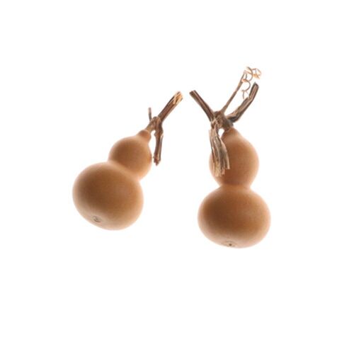 Gourde Sèche Naturelle, 2 Pièces, Aartisanat, Collection Artistique, Mini Bouteille Séchée, Bricolage, Doodle, Sculpture, Jouets Cadeaux Suspendus, Nouveauté 2018