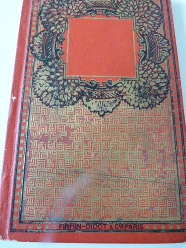 Une Heroine Francaise Au Cinquieme Siecle