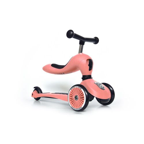 Highwaykick 1 Sr-Trottinette 2-1 Highwaykick 1 - Peche