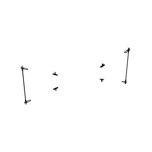 Parrot Swing - Wing Rod X2 + Clips X4-Parrot