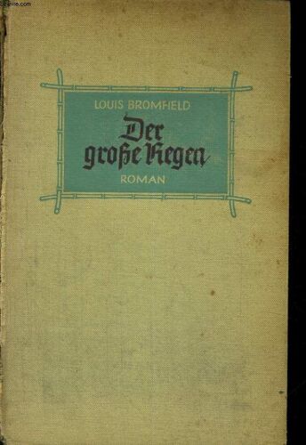 Der Grosse Regen. Roman