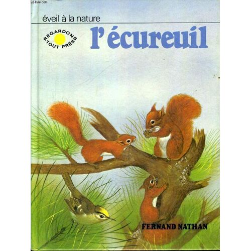 L'ecureuil - Eveil A La Nature - Regardons Tout De Pres