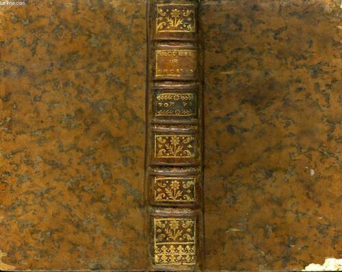 Collection De Décisions Nouvelles Et De Notions Relatives À La Jurisprudence. Tome Vi