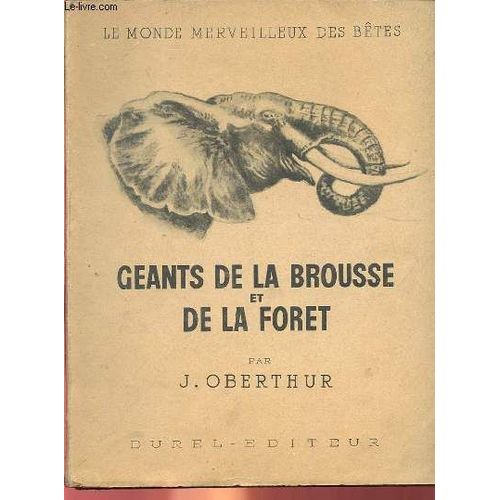 Geants De La Brousse Et De La Foret