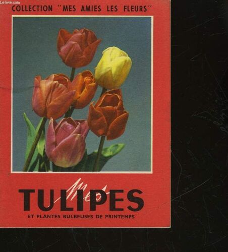 Mes Tulipes - Jacinthes - Narcisses - Crocus Et Plantes Bulbeuses Diverses De Printemps