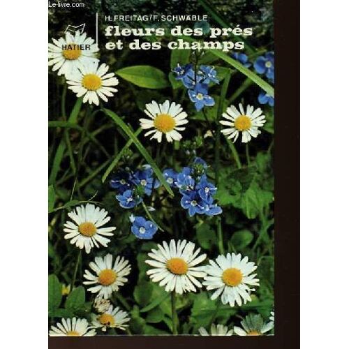 Fleurs Des Pres Et Des Champs
