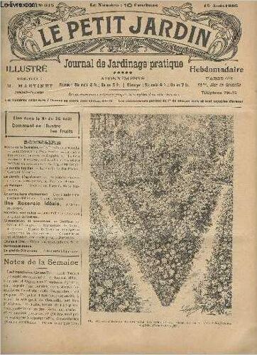 Le Petit Jardin Illustre N° 615 - 19 Août 1905 - La Framboise-Groseille - Compliments Au Petit Jardin - La Baisse Des Revenus Fonciers En Angleterre - La Lutte Contre Le Black-Rot - La Culture Des(...)