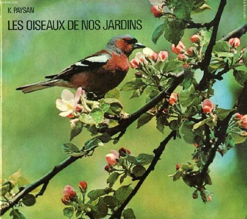 Les Oiseaux De Nos Jardins