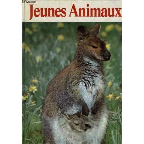 Jeunes Animaux